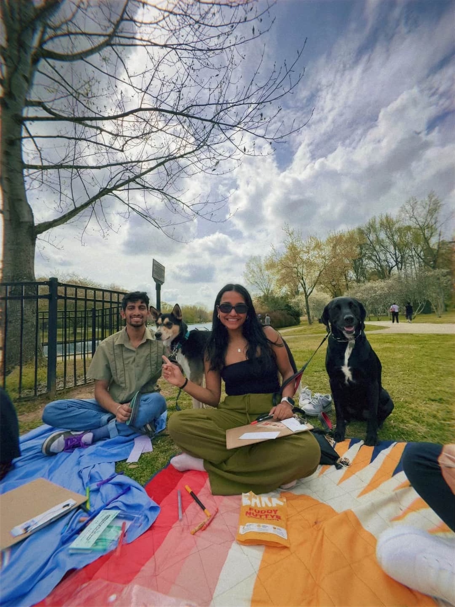 Book club at the park with the dogs